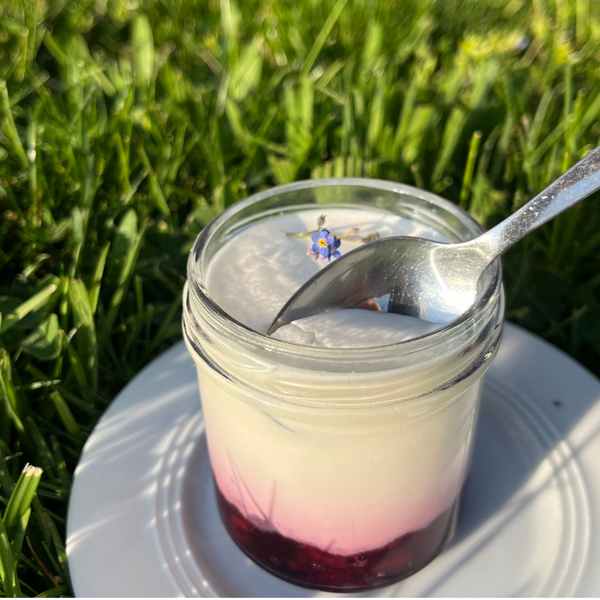 Produktfoto zu Schafjoghurt Blaubeere 140 ml | von den Wiedtalhöfen
