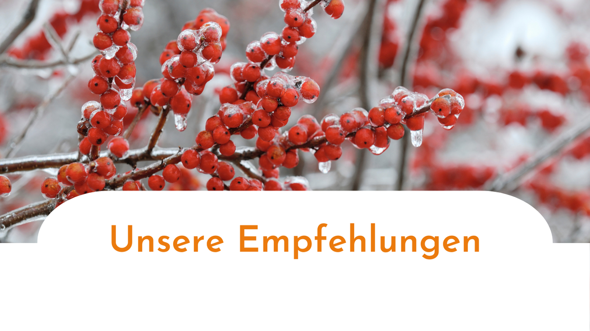 Ausgewählte Bio-Produkte von uns empfohlen