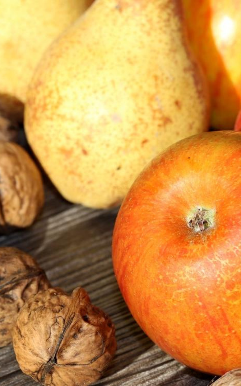 Obst, Nüsse & Saaten