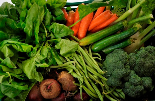 Hofkiste "Gemüse" (S)