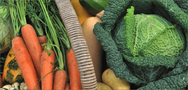 KI generiert: Frisches Gemüse: Karotten, Wirsing, und anderes Gemüse zusammen arrangiert.