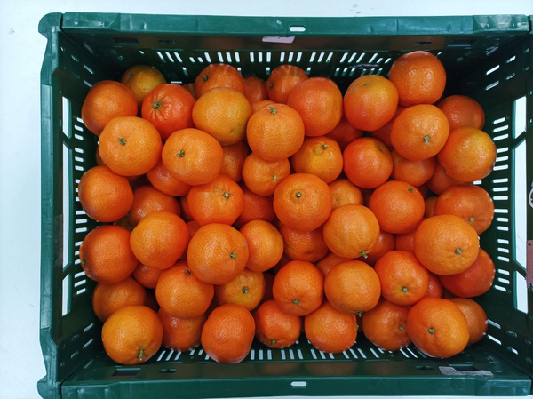 Produktfoto zu Clementinen Comune in der 6 kg Kiste