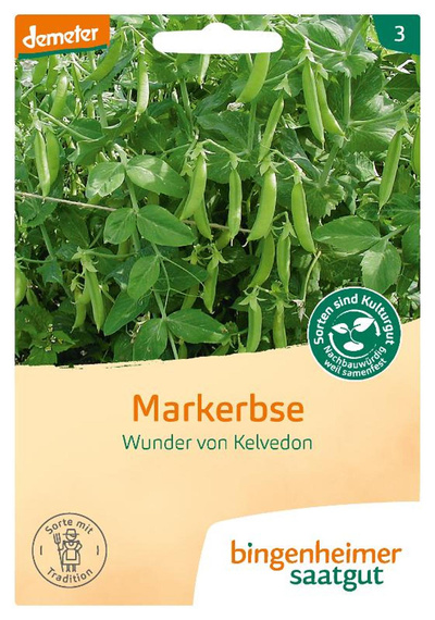 Produktfoto zu Markerbse Wunder von Kelvedon – Saatgut