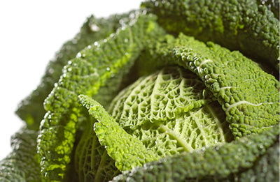 Produktfoto zu Wirsing ca. 0,3 - 0,5 kg | Hüsgen