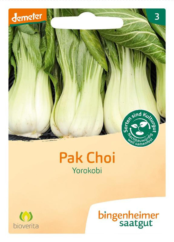 Produktfoto zu Pak Choi Yorokobi – Saatgut