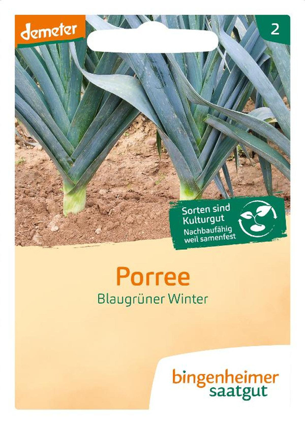 Produktfoto zu Porree Blaugrüner Winter (Avano) – Saatgut