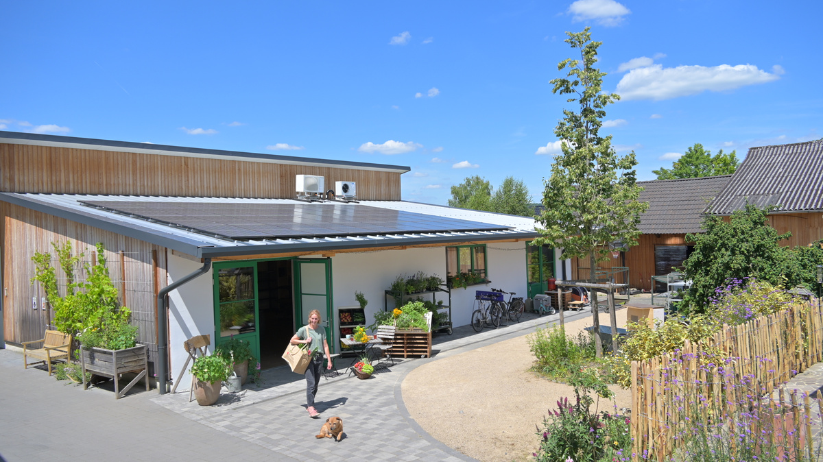 KI generiert: Ein modernes Gebäude mit Solarpanels, Pflanzen und einer Person mit Tüten; ein Hund spaziert draußen.