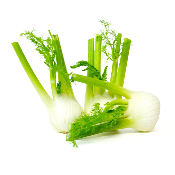 Produktfoto zu Fenchel