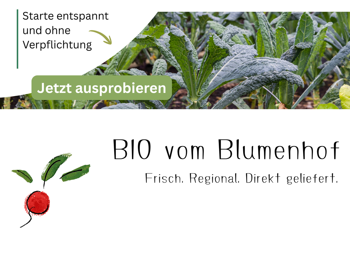 KI generiert: Kale plants with promotional text for organic produce. Text: "BIO vom Blumenhof. Frisch. Regional. Direkt geliefert."
