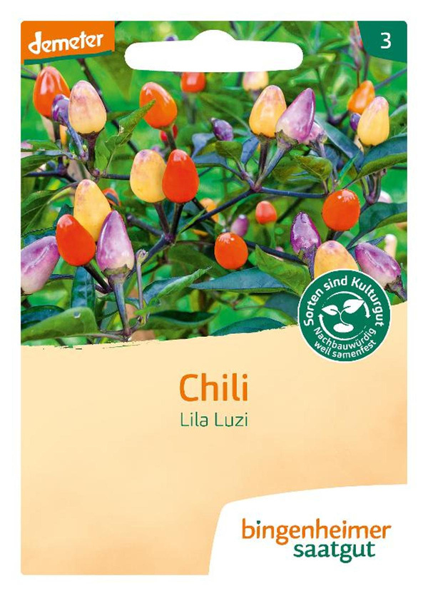 Produktfoto zu Chili Lila Luzi – Saatgut