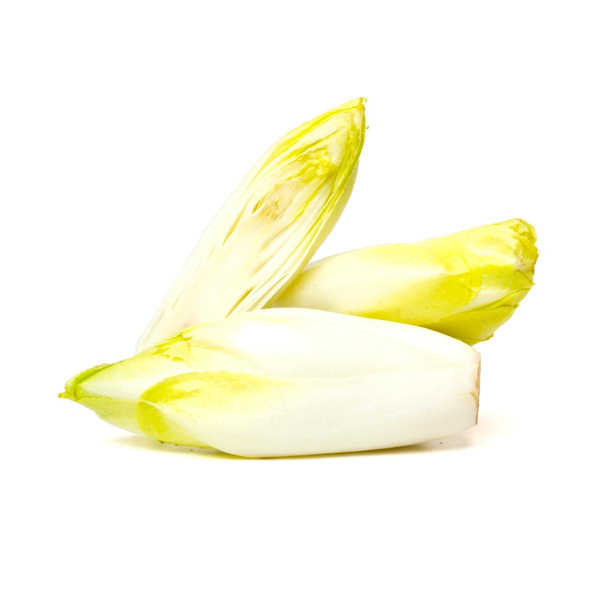 Produktfoto zu Chicorée