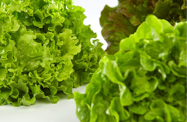 Produktfoto zu Salat II wöchentl. wechselnd (ca. 250g)