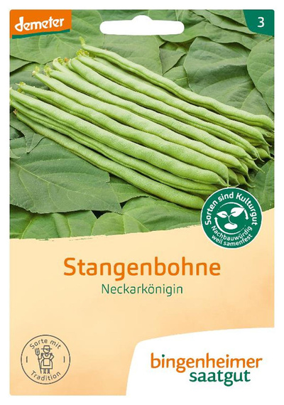 Produktfoto zu Stangenbohne Neckarkönigin – Saatgut