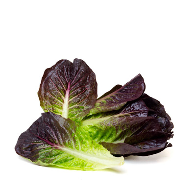 Produktfoto zu Romanasalat  mini ca.100g