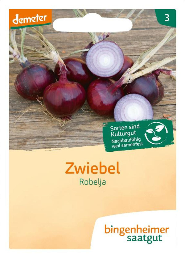 Produktfoto zu Zwiebel Robelja – Saatgut
