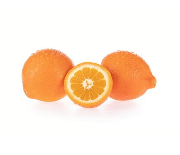 Produktfoto zu Mineola – saftige Zitrusfrucht mit feiner Säure
