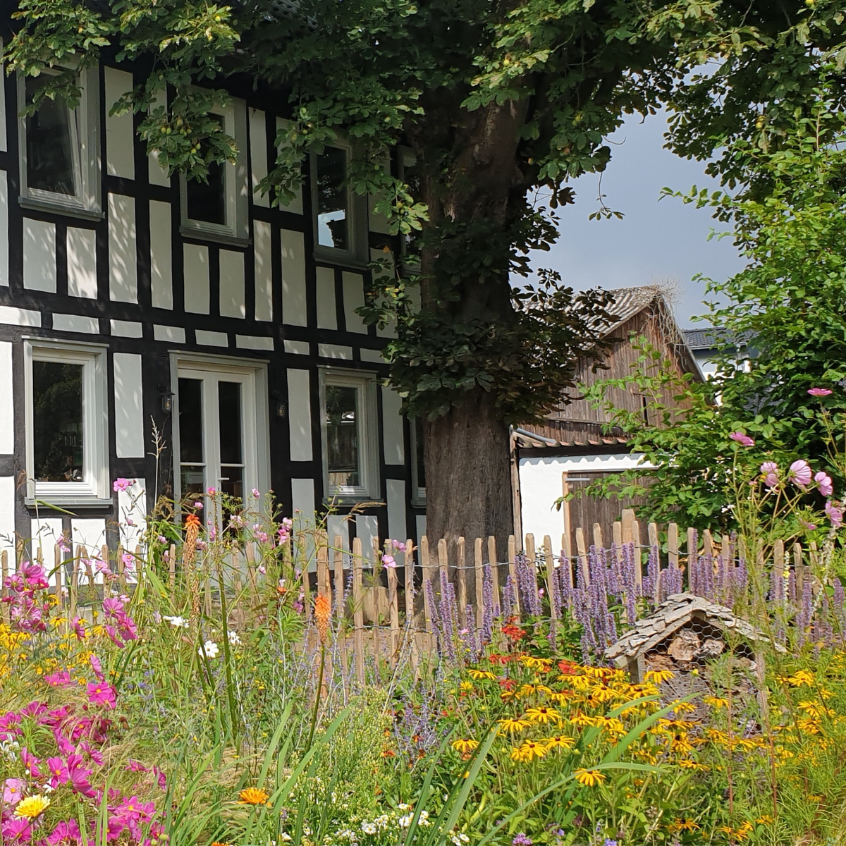 KI generiert: Ein Fachwerkhaus mit blühendem Vorgarten und Holzzaun im Sommer.