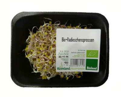 Produktfoto zu Frische Radieschen-Sprossen (würzig-scharf) 100g