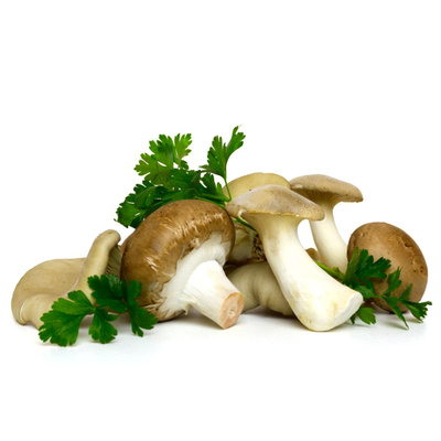 Produktfoto zu Pilztütchen 1kg, Austernpilze, Steinchampignons